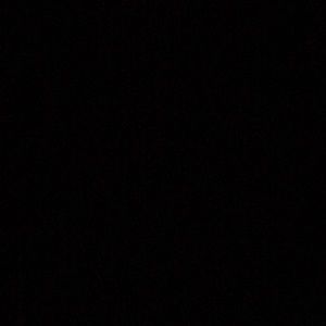 Meet your Posher, Chase